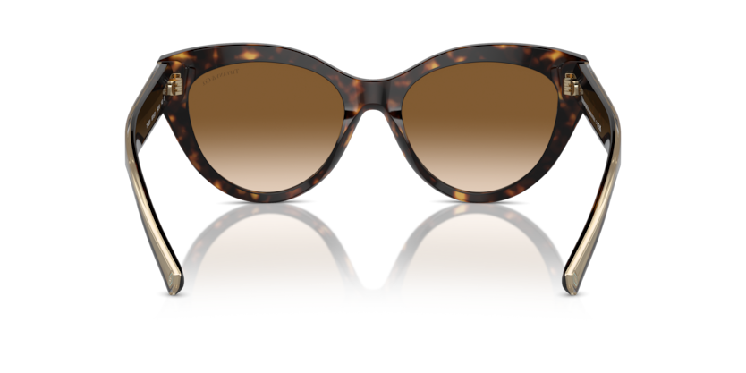 Havana - 0TF4220 8056262003848