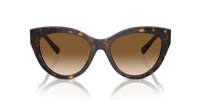 Havana - 0TF4220 8056262003848