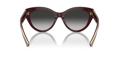 Burgundy - 0TF4220 8056262003855