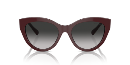 Burgundy - 0TF4220 8056262003855