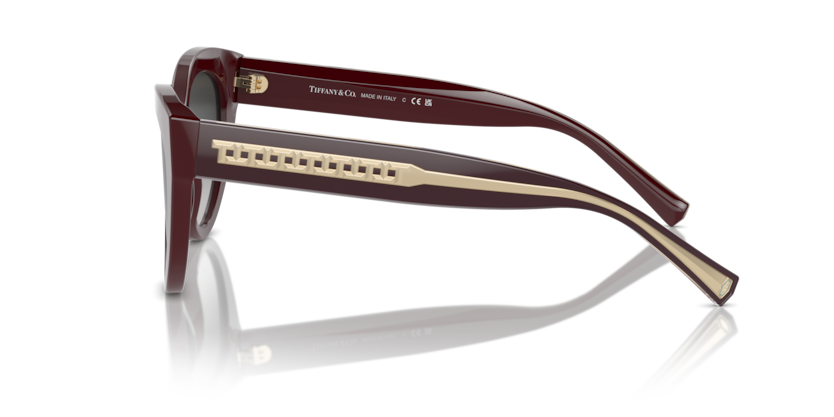 Burgundy - 0TF4220 8056262003855