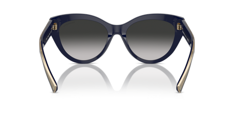 Solid Dark Blue - 0TF4220 8056262003862