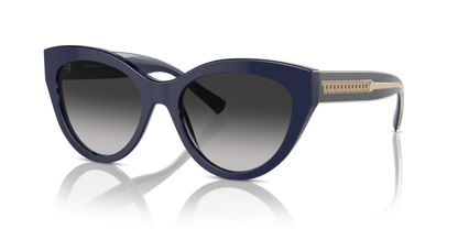 Solid Dark Blue - 0TF4220 8056262003862