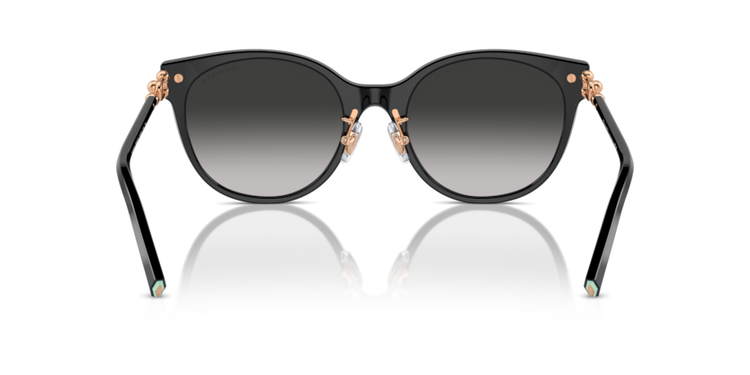 Black - 0TF4223D 8056262011263