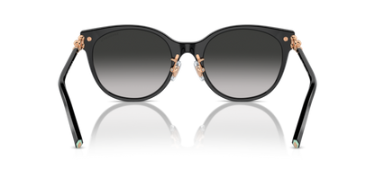 Black - 0TF4223D 8056262011263