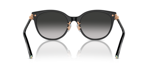 Black - 0TF4223D 8056262011263