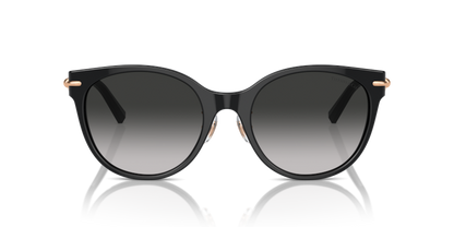 Black - 0TF4223D 8056262011263