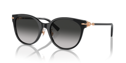 Black - 0TF4223D 8056262011263