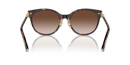 Havana - 0TF4223D 8056262011256