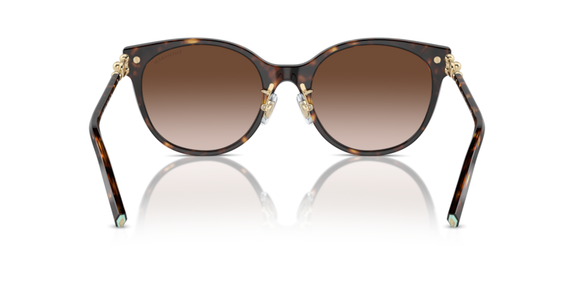 Havana - 0TF4223D 8056262011256