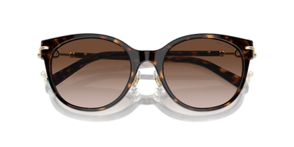 Havana - 0TF4223D 8056262011256