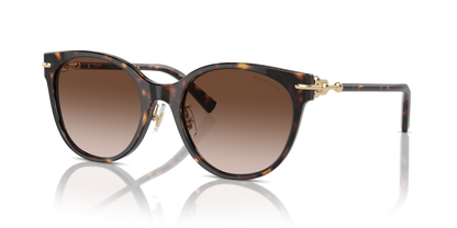 Havana - 0TF4223D 8056262011256