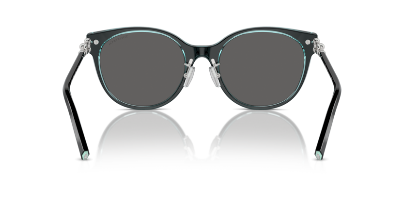 Black On Crystal Tiffany Blue - 0TF4223D 8056262011287