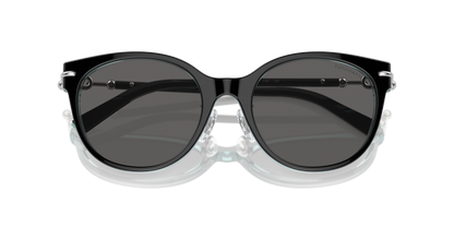 Black On Crystal Tiffany Blue - 0TF4223D 8056262011287