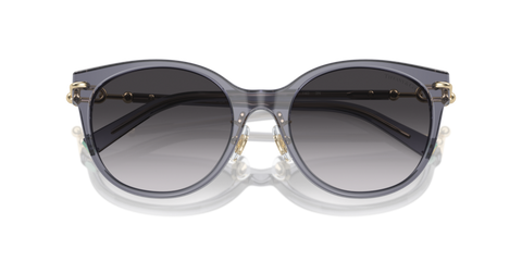 Crystal Dark Violet - 0TF4223D 8056262011270