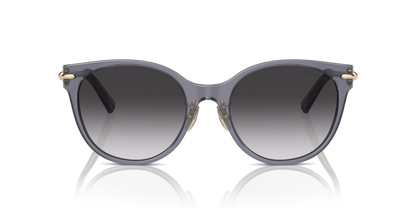 Crystal Dark Violet - 0TF4223D 8056262011270