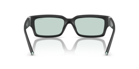 Matte Black - 0TF4226U 8056262189566