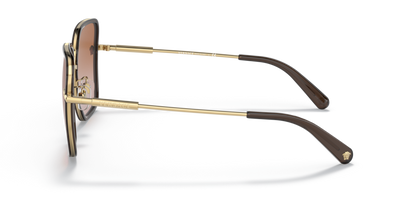 Brown Gradient - 0VE2247D 8056597650427