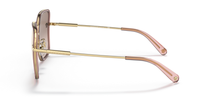 Transparent Pink - 0VE2247D 8056597650434