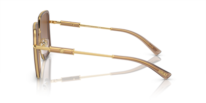 Brown Transparent - 0VE2261 8056597920742