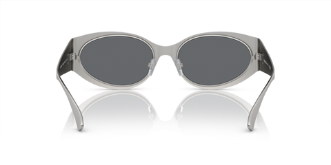 Matte Silver - 0VE2263 8056597921589