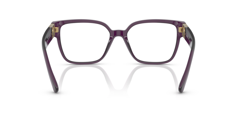 Transparent Plum - 0VE3329B 8056597730846