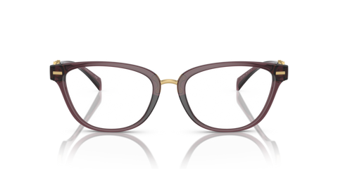 Transparent Violet - 0VE3336U 8056597829694