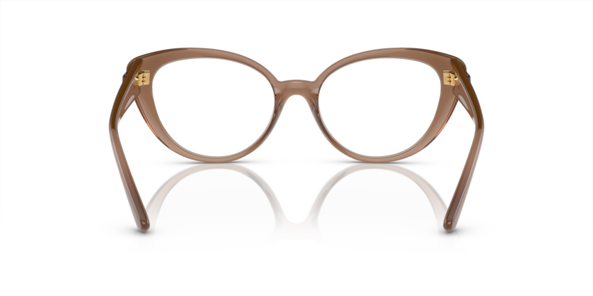 Brown Transparent - 0VE3349U 8056597920926