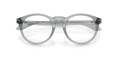 Grey Transparent - 0VE3355U 8056262011645