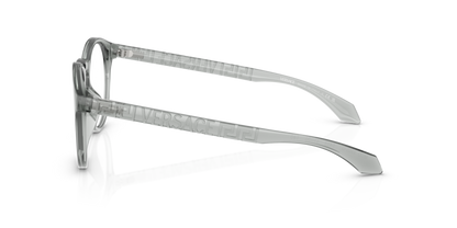 Grey Transparent - 0VE3355U 8056262011645