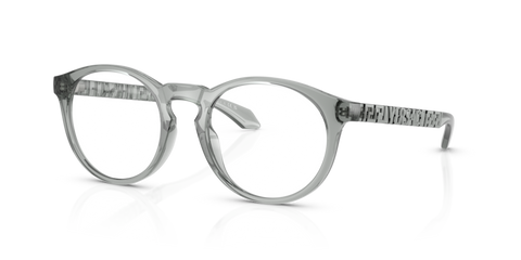 Grey Transparent - 0VE3355U 8056262011645