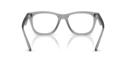 Grey Transparent - 0VE3363U 8056262250365