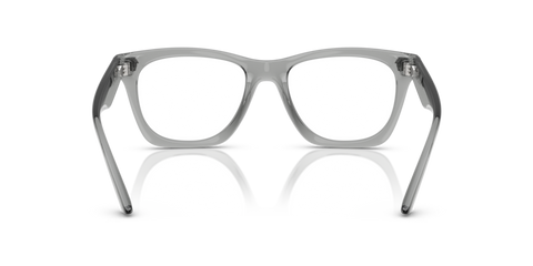 Grey Transparent - 0VE3363U 8056262250365