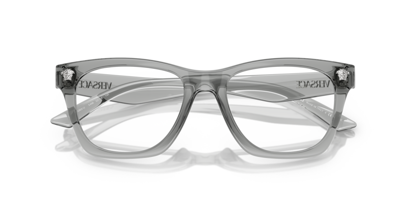 Grey Transparent - 0VE3363U 8056262250365