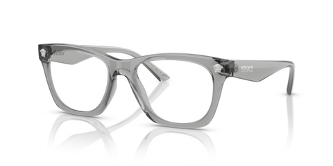 Grey Transparent - 0VE3363U 8056262250365