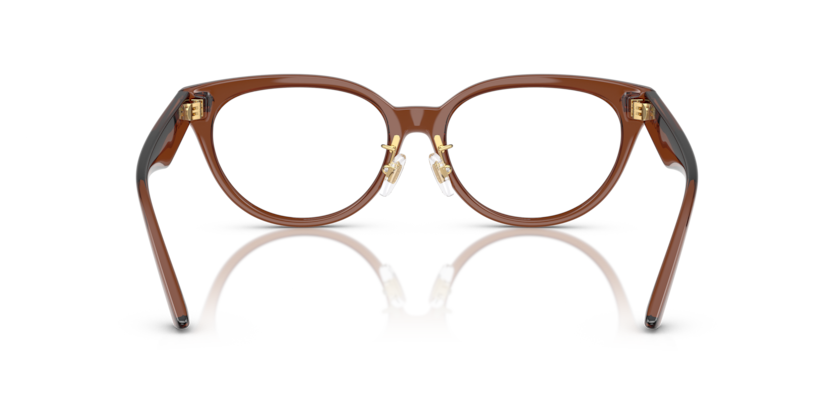 Brown Transparent - 0VE3370D 8056262249703