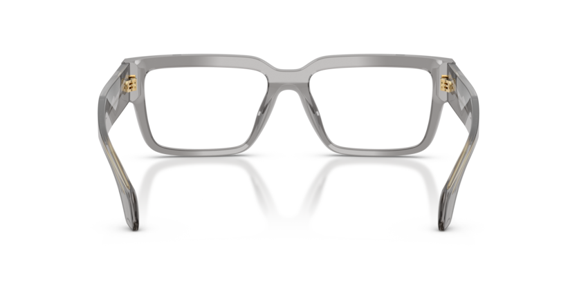 Transparent Grey - 0VE3374U 8056262421017