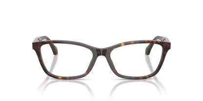 Dark Havana - 0VE3375 8056262420744