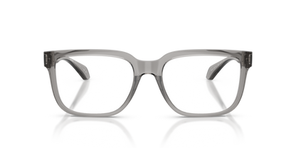 Transparent Grey - 0VE3377U 8056262422779