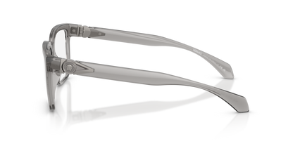 Transparent Grey - 0VE3377U 8056262422779