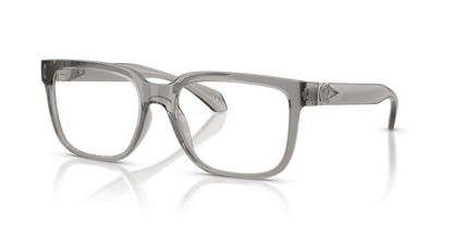 Transparent Grey - 0VE3377U 8056262422779