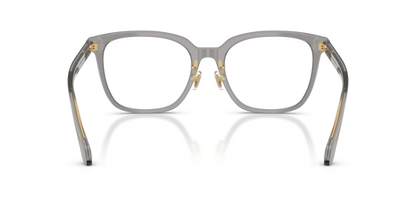 Transparent Grey - 0VE3378D 8056262448182