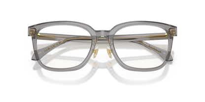 Transparent Grey - 0VE3378D 8056262448182