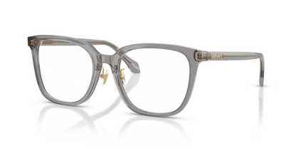 Transparent Grey - 0VE3378D 8056262448182