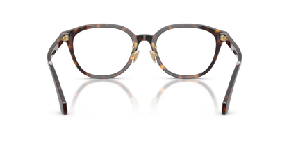 Dark Havana - 0VE3379D 8056262448014