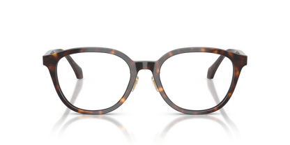 Dark Havana - 0VE3379D 8056262448014