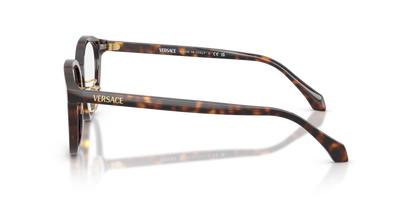 Dark Havana - 0VE3379D 8056262448014