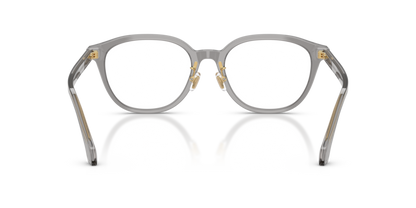 Transparent Grey - 0VE3379D 8056262448021