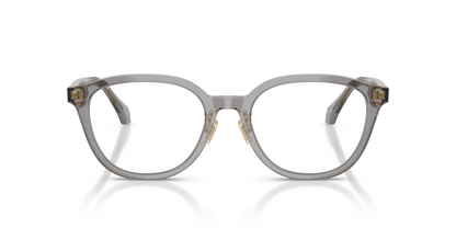 Transparent Grey - 0VE3379D 8056262448021