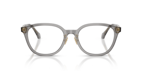 Transparent Grey - 0VE3379D 8056262448021